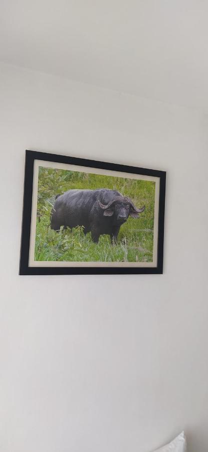 Plus254 Hotel Nairobi Bagian luar foto